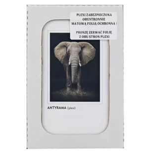 Antyrama 60 x 80 cm - Systemy ekspozycyjne i znaki informacyjne - miniaturka - grafika 3