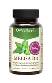 Suplementy diety - AVET HERBS Melisa B12, 30kaps. - miniaturka - grafika 1