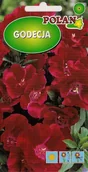 Nasiona i cebule - Godecja wielkokwiatowa szkarłatna 1 g POLAN - miniaturka - grafika 1
