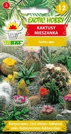 Nasiona i cebule - Toraf Nasiona Exotic Kaktusy mieszanka 0,2g - miniaturka - grafika 1