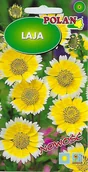 Nasiona i cebule - Laja żółto-biała 0.5 g POLAN - miniaturka - grafika 1