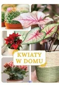 Dom i ogród - Kwiaty w domu - miniaturka - grafika 1