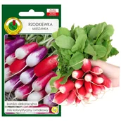 Nasiona i cebule - RZODKIEWKA MIX DŁUGICH ODMIAN 3g NASIONA BEZ GMO - miniaturka - grafika 1