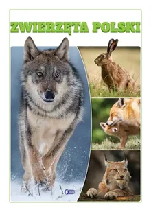 Zwierzęta Polski - praca zbiorowa - Albumy - przyroda - miniaturka - grafika 1