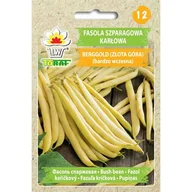 Nasiona i cebule - Toraf Nasiona Fasola szparagowa zółta Berggold 50g - miniaturka - grafika 1