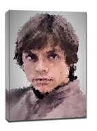 Obrazy i zdjęcia na płótnie - POLYamory - Luke Skywalker, Gwiezdne Wojny Star Wars - obraz na płótnie Wymiar do wyboru: 20x30 cm - miniaturka - grafika 1