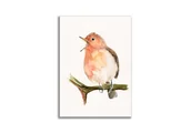 Obrazy i zdjęcia - Akwarela ręcznie malowana Rudzik ptaki - miniaturka - grafika 1