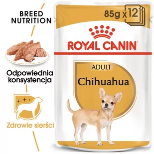 Royal Canin Chihuahua Adult 12x85g - Mokra karma dla psów - miniaturka - grafika 1