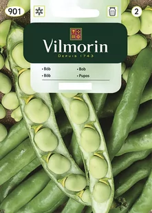 NASIONA BÓB DUŻY SUPERAGUADULCE 40G VILMORIN - Nasiona i cebule - miniaturka - grafika 1