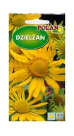 Nasiona i cebule - Dzielżan Hoopesii 1 g POLAN - miniaturka - grafika 1