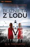 E-booki - kryminał i sensacja - Bliźnięta z lodu - miniaturka - grafika 1