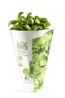 Zdrowa żywność - Bazylia BIO Baziółka 1 szt. - miniaturka - grafika 1