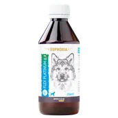Suplementy i witaminy dla psów - BIOFEED EUPHORIA Flex Platinum 250ml - miniaturka - grafika 1
