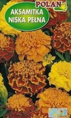 Nasiona i cebule - Aksamitka niska pełna mieszanka 1 g POLAN - miniaturka - grafika 1