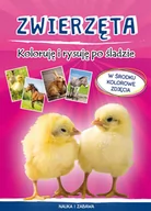 Kolorowanki, wyklejanki - Literat Zwierzęta Koloruję i rysuję po śladzie Monika Myślak - miniaturka - grafika 1