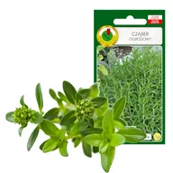 Nasiona i cebule - CZĄBER ZIOŁO PRZYPRAWA NASIONA ZIÓŁ BEZ GMO - miniaturka - grafika 1