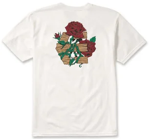 t-shirt ETNIES ROSE ARROW TEE WHITE - Koszulki męskie - miniaturka - grafika 1