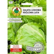 Nasiona i cebule - Sałata lodowa krucha Królowa lata nasiona na taśmie 6m Pnos - miniaturka - grafika 1