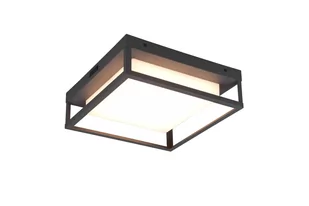 Lampa elewacyjna plafon zewnętrzny WITHAM antracyt Trio 677860142 - Lampy ogrodowe - miniaturka - grafika 1