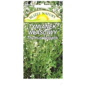 Nasiona i cebule - Tymianek właściwy 0,1 g - miniaturka - grafika 1