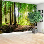 Fototapety - Fototapeta Las słońce - miniaturka - grafika 1