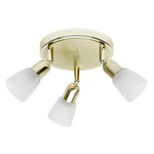 Lampa reflektor spot SOFIA 55334/18 Brilliant - Lampy pozostałe - miniaturka - grafika 1