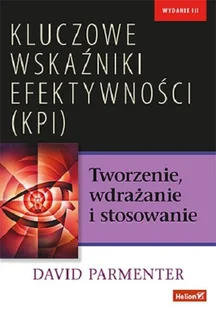 Kluczowe wskaźniki efektywności (KPI). Tworzenie, wdrażanie i stosowanie - Ekonomia - miniaturka - grafika 1