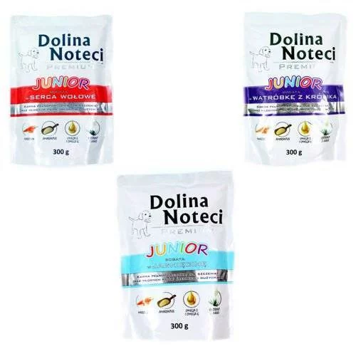 Dolina Noteci PREMIUM Junior MIX Smaków 18 x 300g