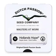 Nasiona i cebule - Nasiona konopi Dutch Passion - Hollands Hope (regular)10 szt. - miniaturka - grafika 1