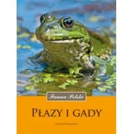 Przewodniki - Płazy i gady Fauna Polski Klimaszewski Krzysztof - miniaturka - grafika 1