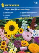 Nasiona i cebule - Kiepenkerl Mieszanka kwiatów wysokopiennych Kiepenkerl 102620 - miniaturka - grafika 1