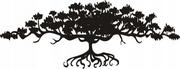 Naklejki na ścianę - Naklejka na ścianę drzewo bonzai Drzewko bonsai, 100x38 cm - miniaturka - grafika 1