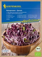 Nasiona i cebule - Rzodkiewka Czerwona Radies Rot- nasiona na kiełki - Kiepenkerl - miniaturka - grafika 1
