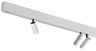 Azzardo TRACK MAGNETIC SET 3M 3000K biały AZ4825 AZ4825 - Lampy pozostałe - miniaturka - grafika 1