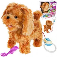 Zabawki interaktywne dla dzieci - Piesek Pudel Interaktywny Na Smyczy Chodzi Szczeka Chodzący Na Smyczy - miniaturka - grafika 1