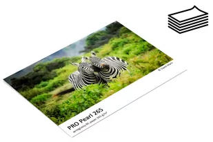Fomei Papier Jet Pro Pearl 265 A4 20+5szt - Papier do drukarek - miniaturka - grafika 1
