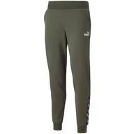 Spodnie damskie - Spodnie Damskie Puma Power Pants Fl Cl Grape Lea Zielone 589546 44-S - miniaturka - grafika 1