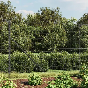 vidaXL Ogrodzenie z siatki drucianej, antracytowe, 2x25 m - Ogrodzenia - miniaturka - grafika 1