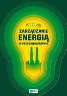 Zarządzanie - Wydawnictwo Naukowe PWN Zarządzanie energią w przedsiębiorstwie - Oung Kit - miniaturka - grafika 1