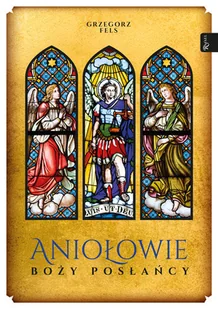 Aniołowie Boży Posłańcy Grzegorz Fels - Religia i religioznawstwo - miniaturka - grafika 2