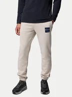 Spodnie sportowe męskie - Columbia Spodnie dresowe Trek™ 1957944 Beżowy Regular Fit - miniaturka - grafika 1