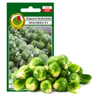 Nasiona i cebule - KAPUSTA BRUKSELSKA DOLORES ODPORNA NASIONA BEZ GMO - miniaturka - grafika 1