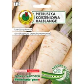 Nasiona i cebule - Pietruszka korzeniowa Halblange nasiona na taśmie 6m Pnos - miniaturka - grafika 1