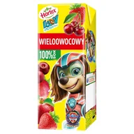 Soki i napoje niegazowane - Hortex Leon i Przyjaciele Sok 100 % wieloowocowy 200 ml - miniaturka - grafika 1