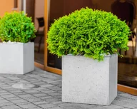 Donice - 45x45x45 cm CT - Donica betonowa (szara) - miniaturka - grafika 1