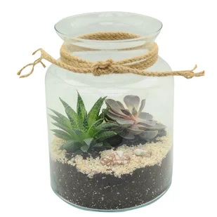 Sukulenty mix 25 cm w osłonce szklanej - Nasiona i cebule - miniaturka - grafika 1