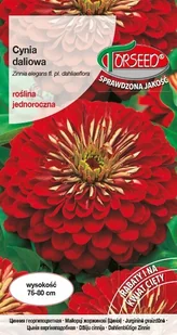 Nasiona Cynia daliowa ciemnoczerwona 1g - Torseed - Nasiona i cebule - miniaturka - grafika 1