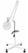 Lampy kosmetyczne - Lampa lupa dermatologiczna CO CN03805 5 dpt 22W - miniaturka - grafika 1