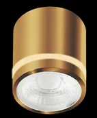 Lampy sufitowe - Złota, punktowa oprawa natynkowa do łazienki AZ6041 z serii VICI - miniaturka - grafika 1