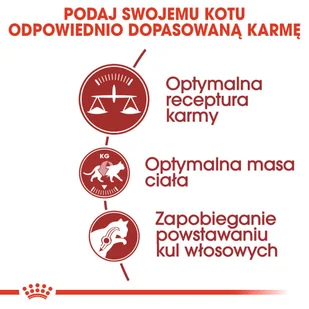 ROYAL CANIN  FIT 32 2kg + niespodzianka dla kota GRATIS! - Sucha karma dla kotów - miniaturka - grafika 7